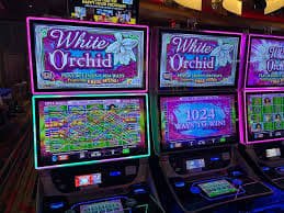 Perbandingan notifikasi push dan antarmuka aplikasi native togel online88